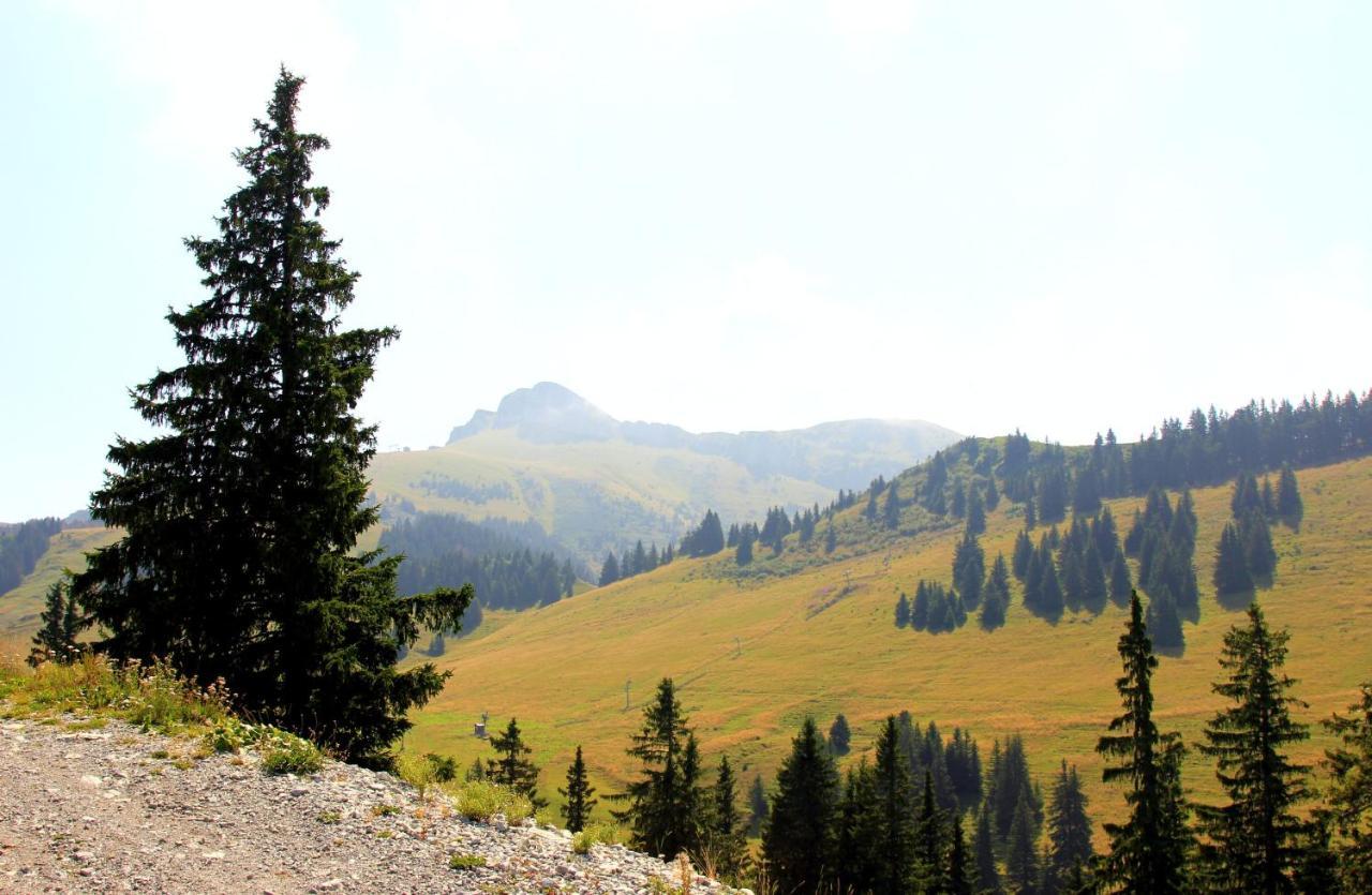 Appartement Confortable A Thollon-Les-Memises Avec Vue Dış mekan fotoğraf